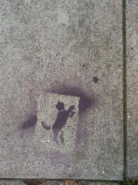 SF Western Addition cat