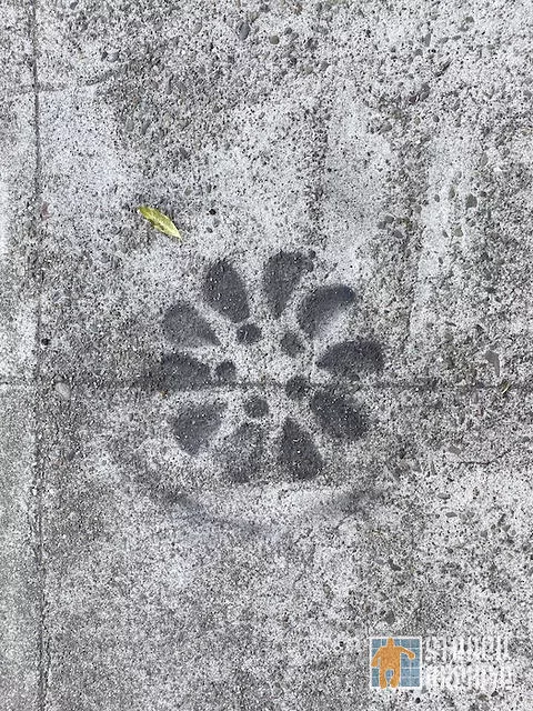 SF Western Addition flower pattern