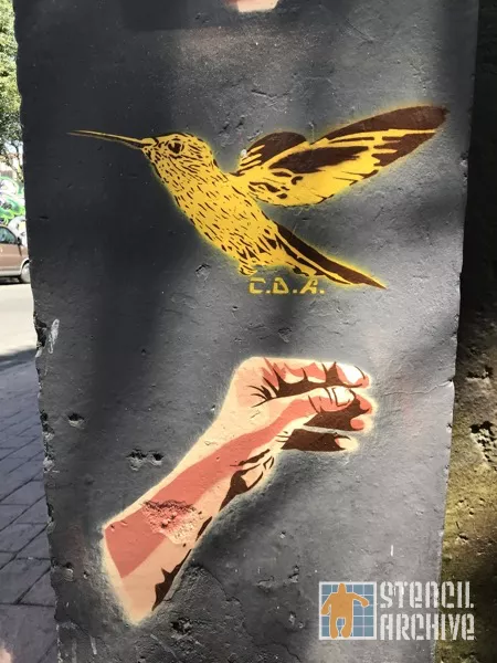CDA hummingbird MX CDMX Miguel Hid