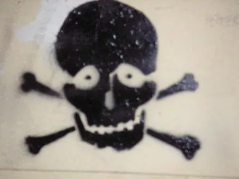 AR UY Skull Crossbones