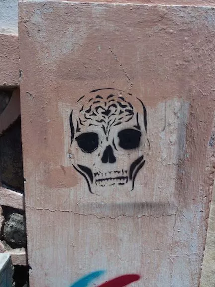 CR San Jose skull