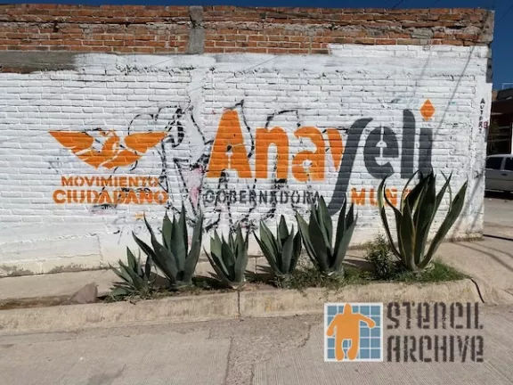 MX Aguascalientes Movimento Ciudadando