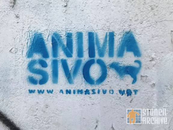 MX CDMX Roma Anima Sivo advert