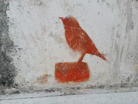 MX Merida bird
