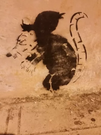 MX Merida rat