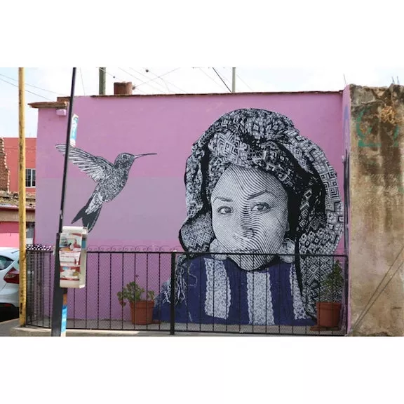 MX Oaxaca Xaacto Navaja Miriam y los Zancudos
