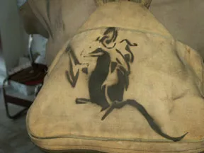 MXCancun Rat