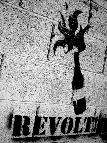 AZ Paradise Valley revolt 02