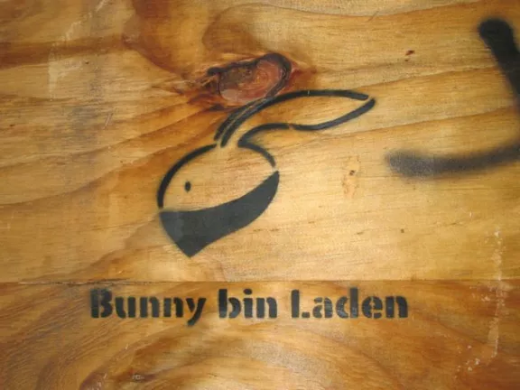 Bunny bin Laden small NYC
