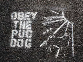 IL Chi Fuzzythe100lbArtMonster02