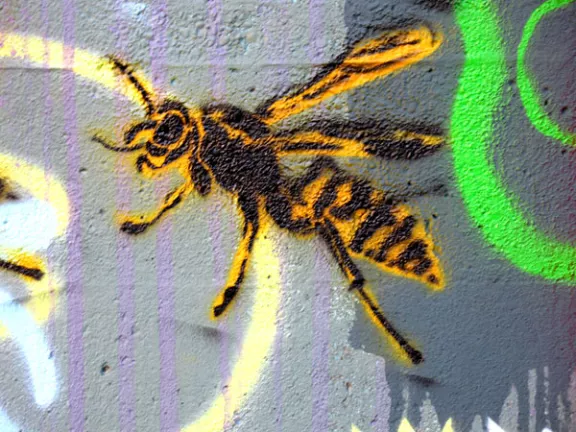 WA_Seattle_Gurldogg wasp