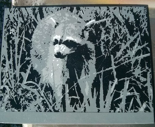 Jimi Nepper raccoon01