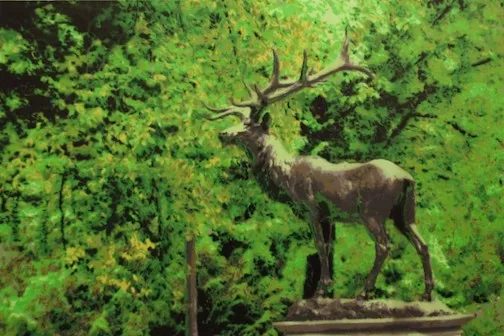 Joseph Steininger Elk in the Park