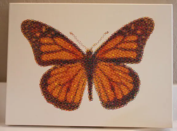 AZ_Koleszar_monarch