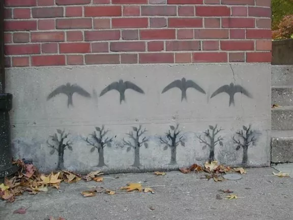 NAcrutreesnbird