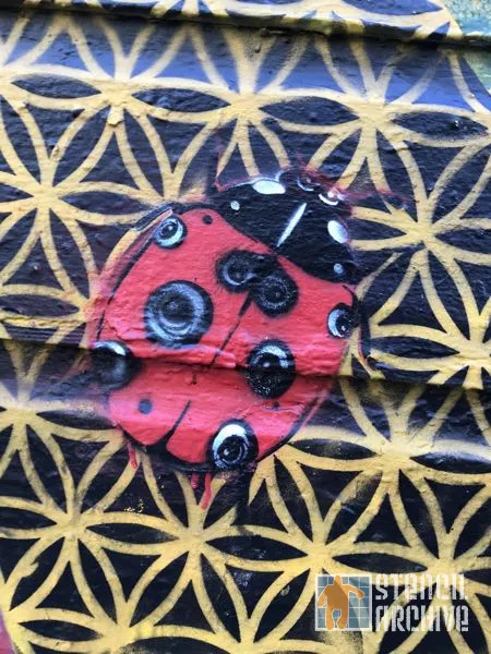 Peat EYEZ Clarion Alley mural detail ladybug