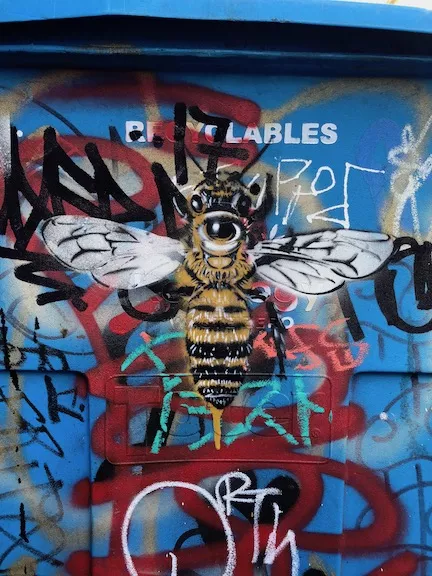 Peat EYEZ SF CA bee