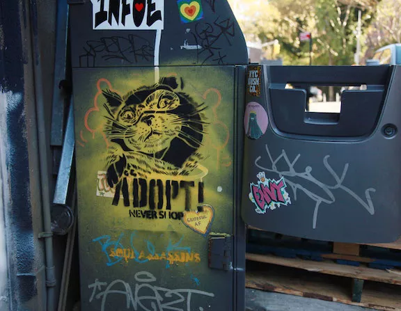 Praxis Adopt never shop ph J Rojo for BSA