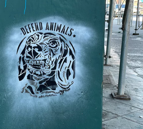 Praxis Defend Animals NYC ph J Rojo for BSA
