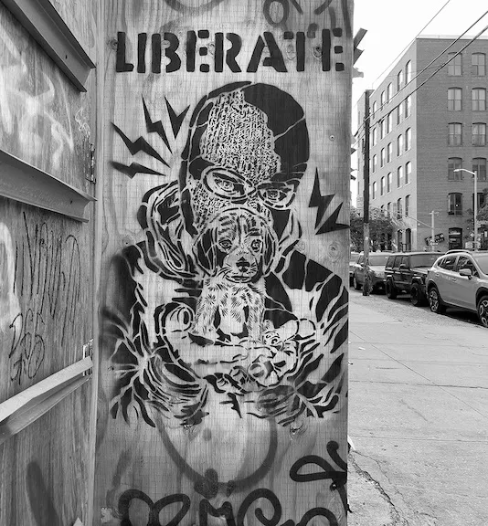 Praxis NYC puppy liberation ph J Rojo BSA