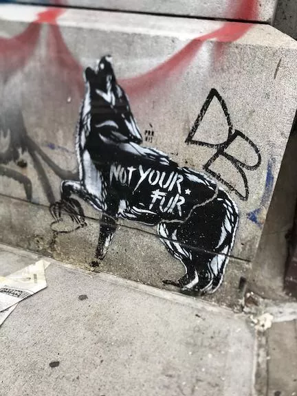 Praxis Not Your Fur
