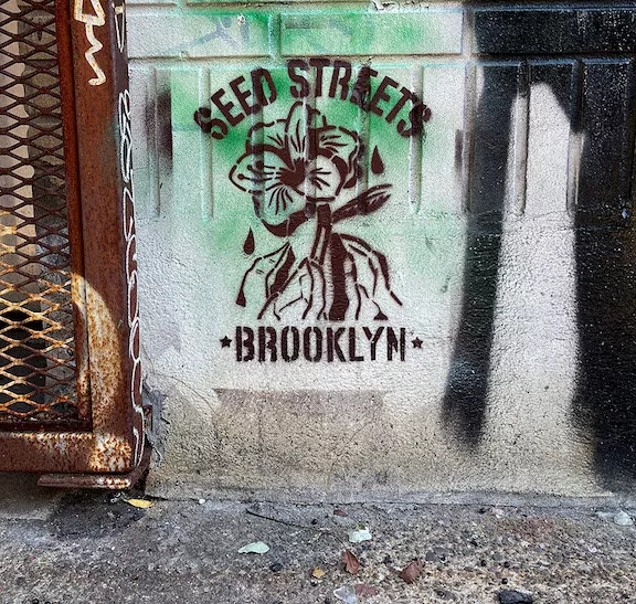 Praxis Seed Streets NYC ph J Rojo for BSA