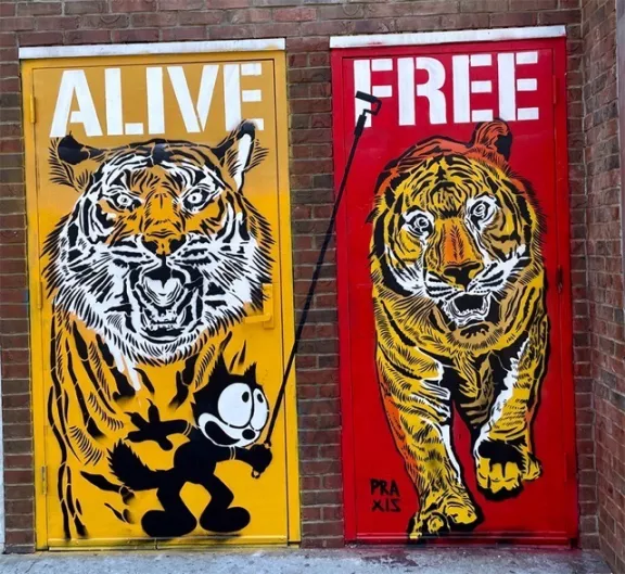 praxis Alive Free and Felix ph S P Harrington for BSA Medium