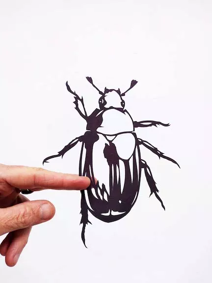 Roger Peet Amplifier Insects 01