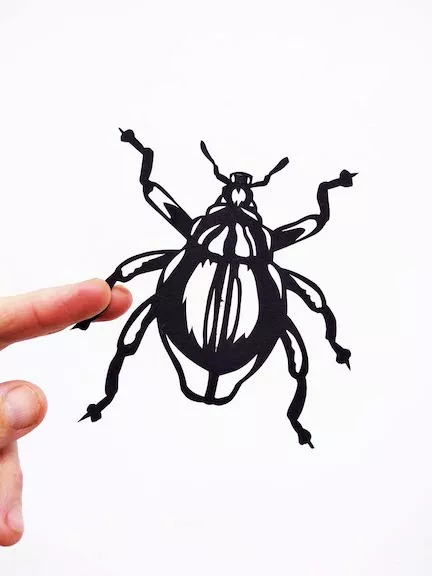 Roger Peet Amplifier Insects 05