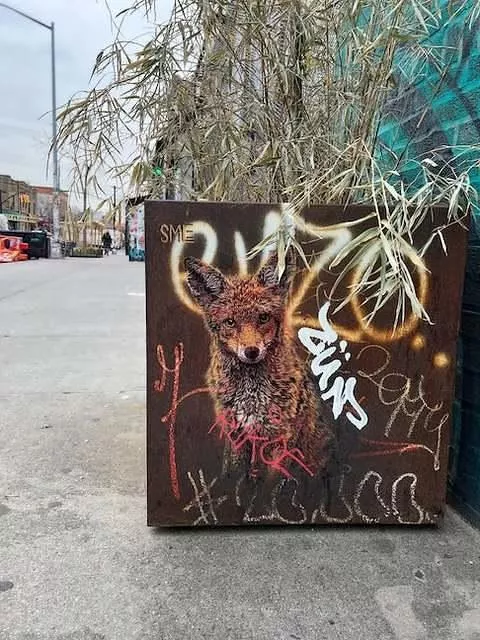 SMiLE NYC fox