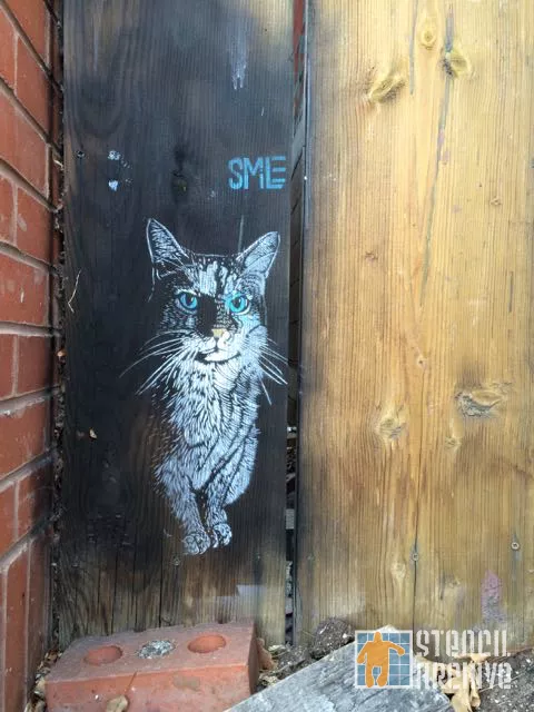 SMiLE Boulder cat02
