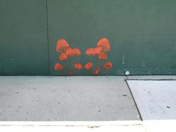 SOS_orange mushrooms