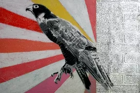 Urban Soule hawk