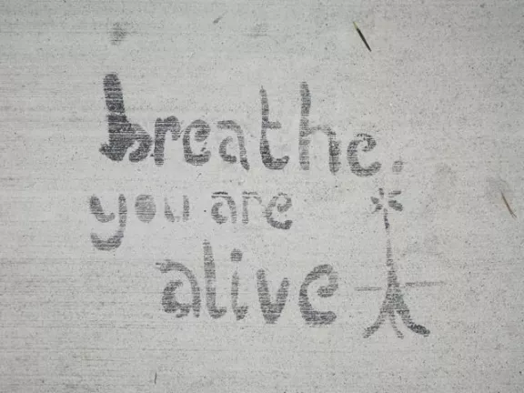 CA East Bay Berkeley breathe