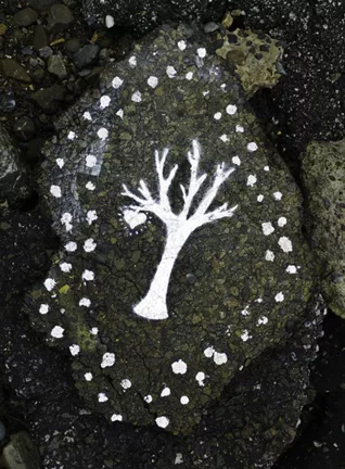 CA East Bay Albany Bulb Heart Tree