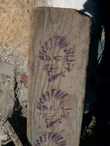 CA East Bay Albany Bulb text hair