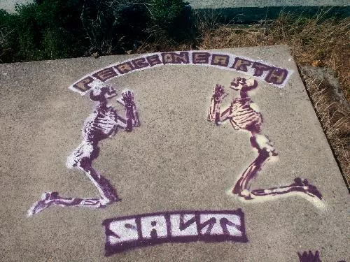 Salt CA East Bay Albany Bulb 02