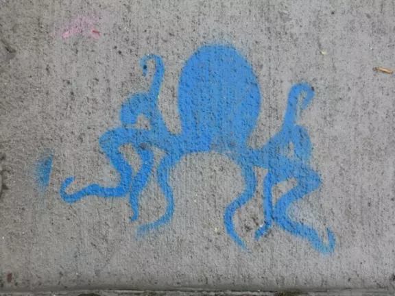 CA East Bay Oakland Octopus