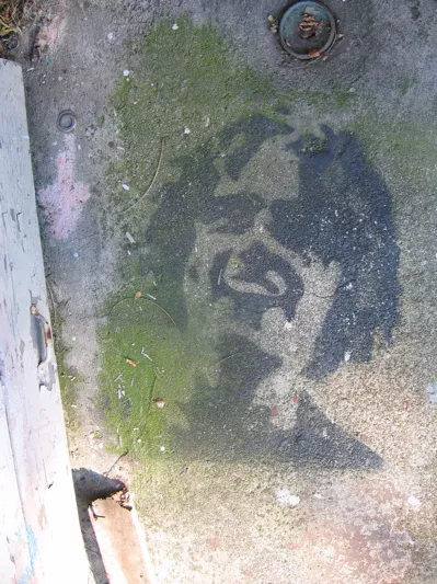CA East Bay Oakland Rockridge Portrait