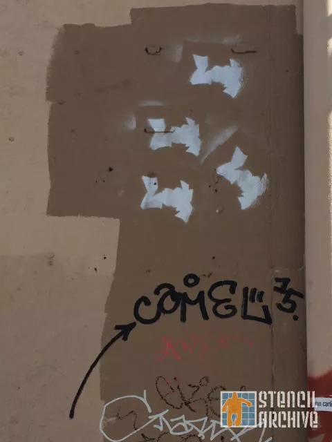 CA East Bay Oakland Look