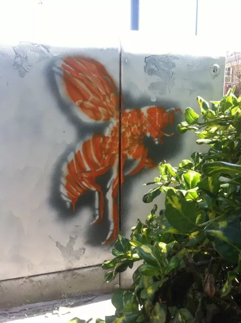 CA East Bay West Oakland wasp