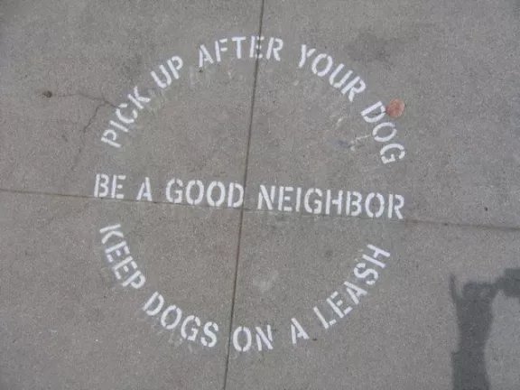 CA LA N Hollywood Pick Up After