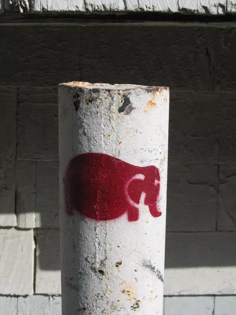 CA LA Venice Beach elephants 03