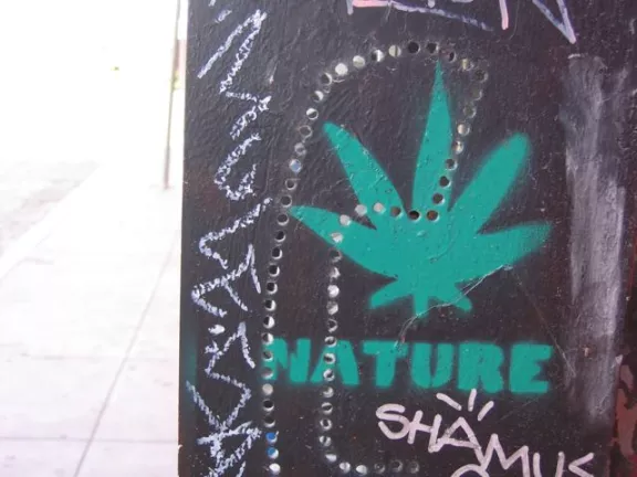 CA LA Venice Beach cannabis nature