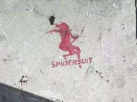 CA LA Hollywood spidersuit