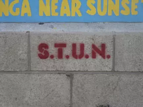 CA LA Hollywood Stun
