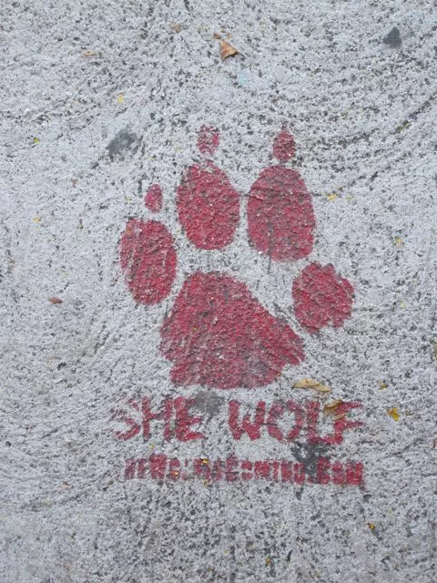 CA LA Echo Park She Wolf
