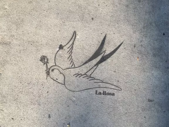 CA LA La Rosa bird