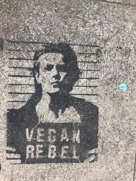 CA LA Vegan Rebel