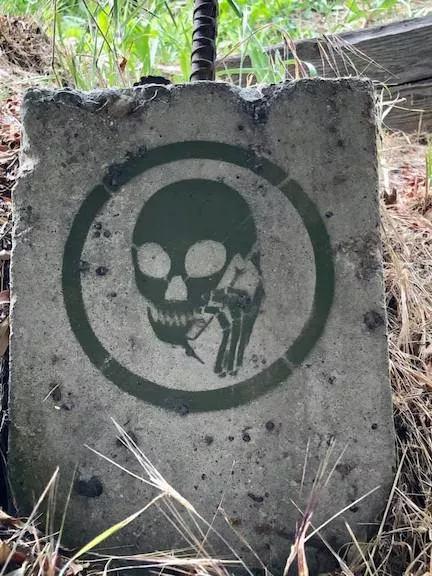 CA LA Skull Phone
